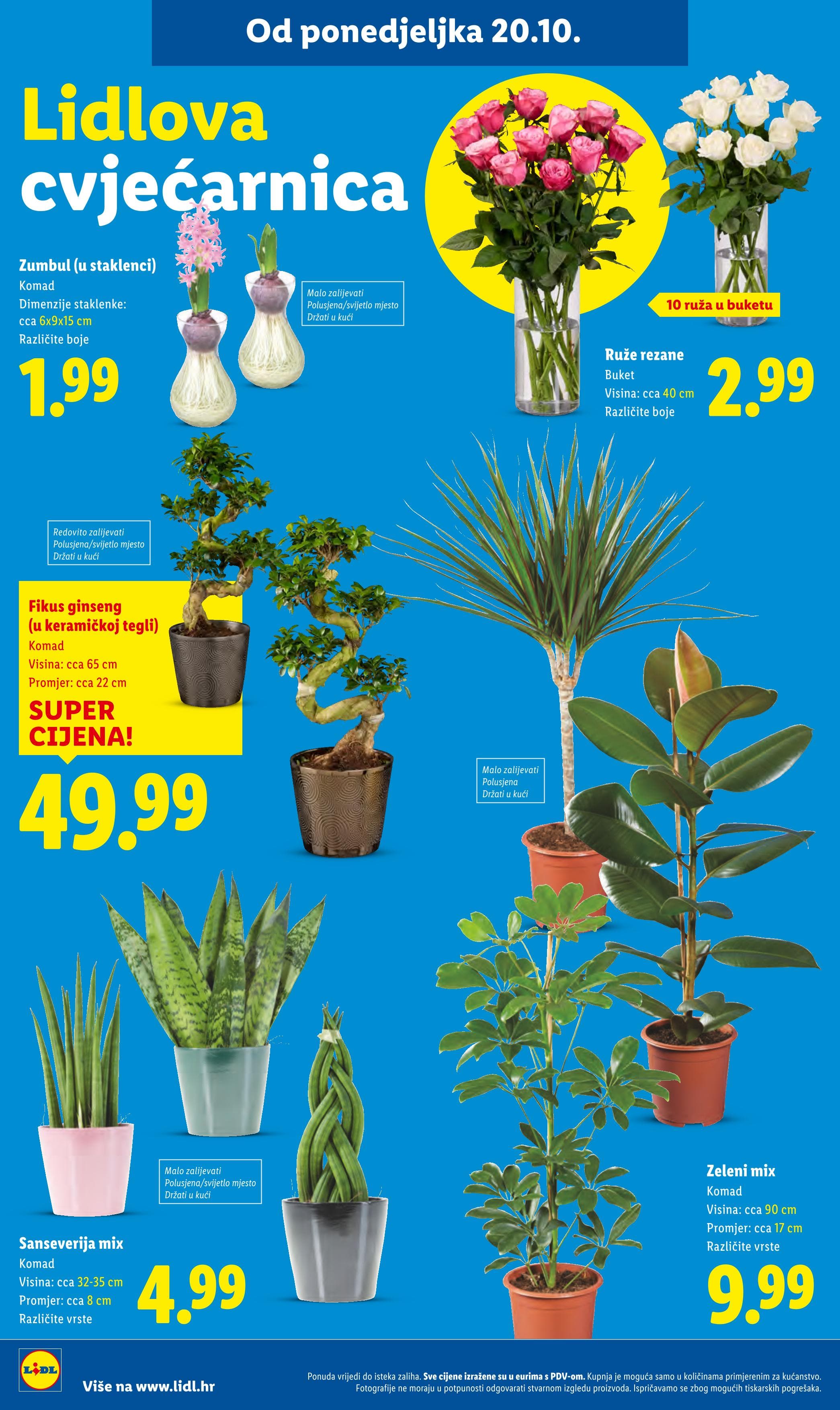 Page from catalog: Isplati se