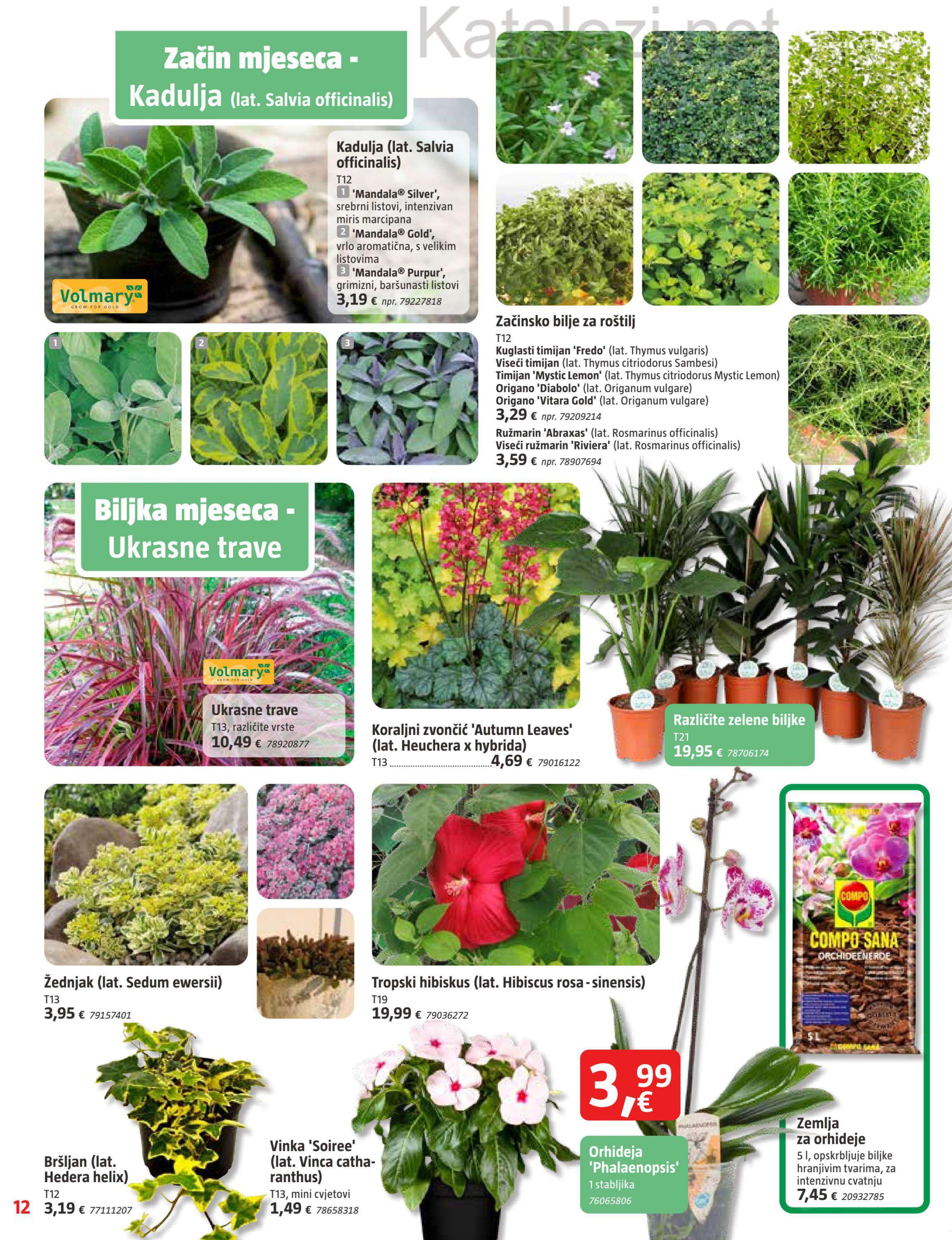 Page from catalog: Kolovoz