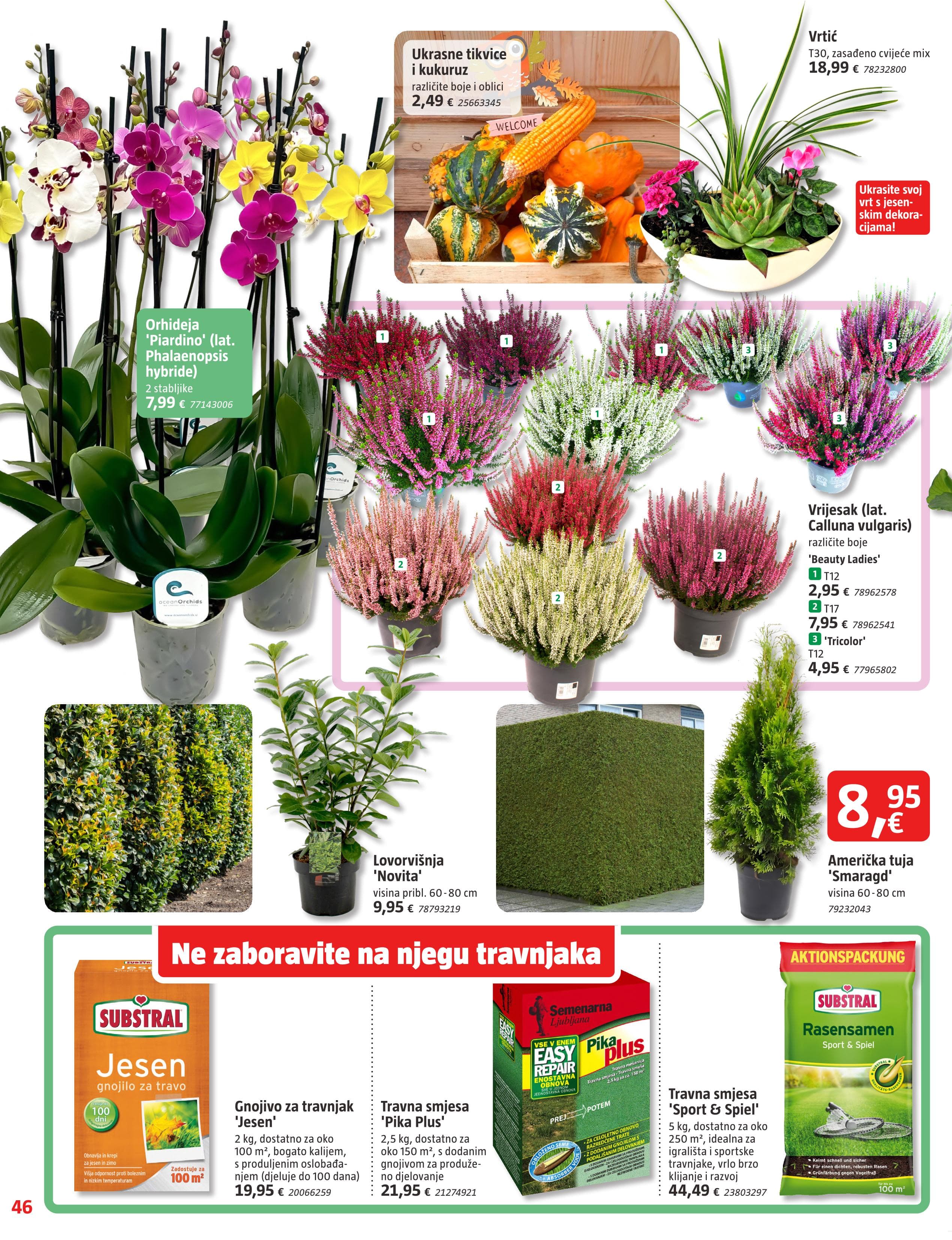 Page from catalog: Rujan
