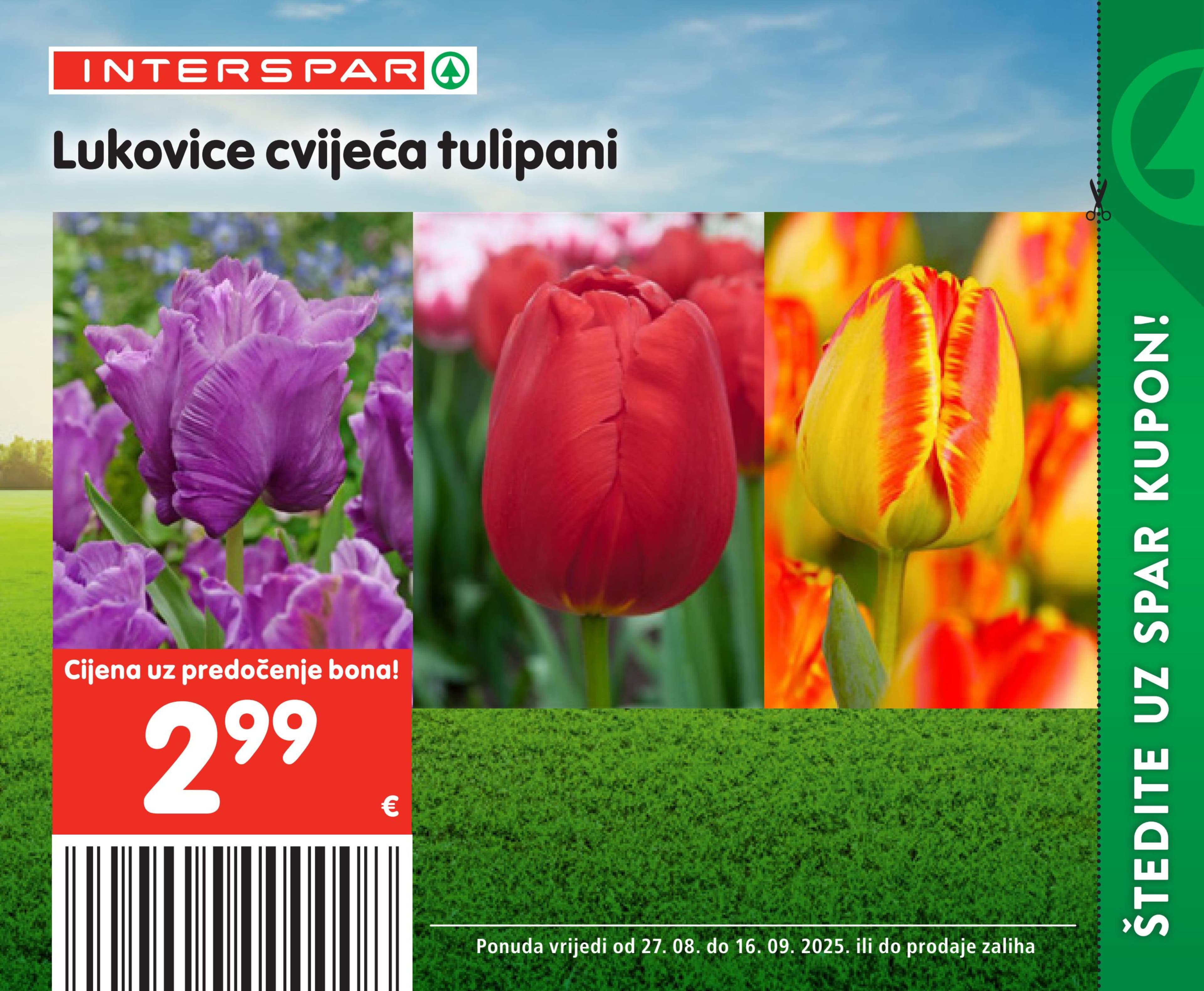 Page from catalog: Posebne pogodnosti