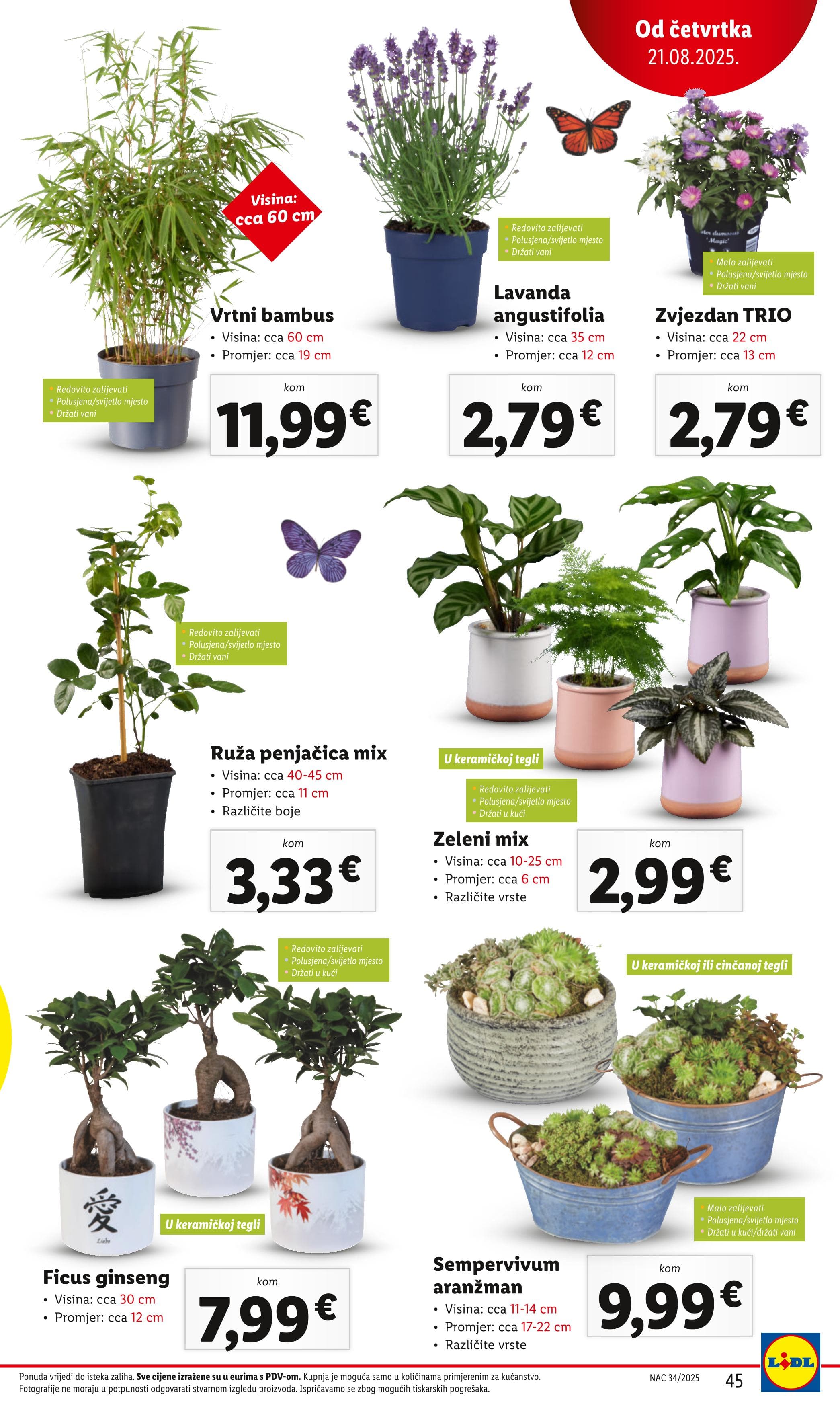 Page from catalog: Super ponuda
