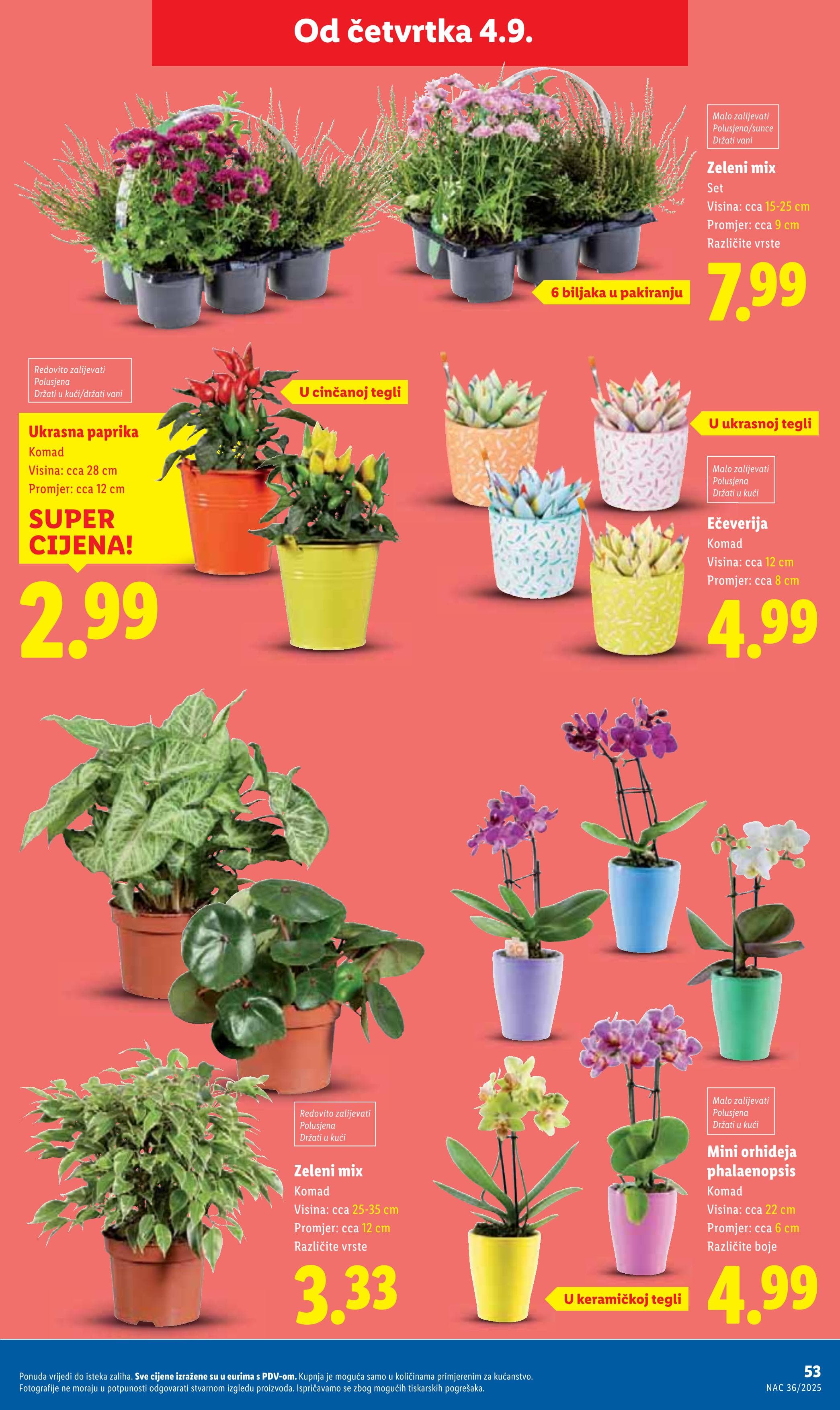 Page from catalog: Akcijska ponuda
