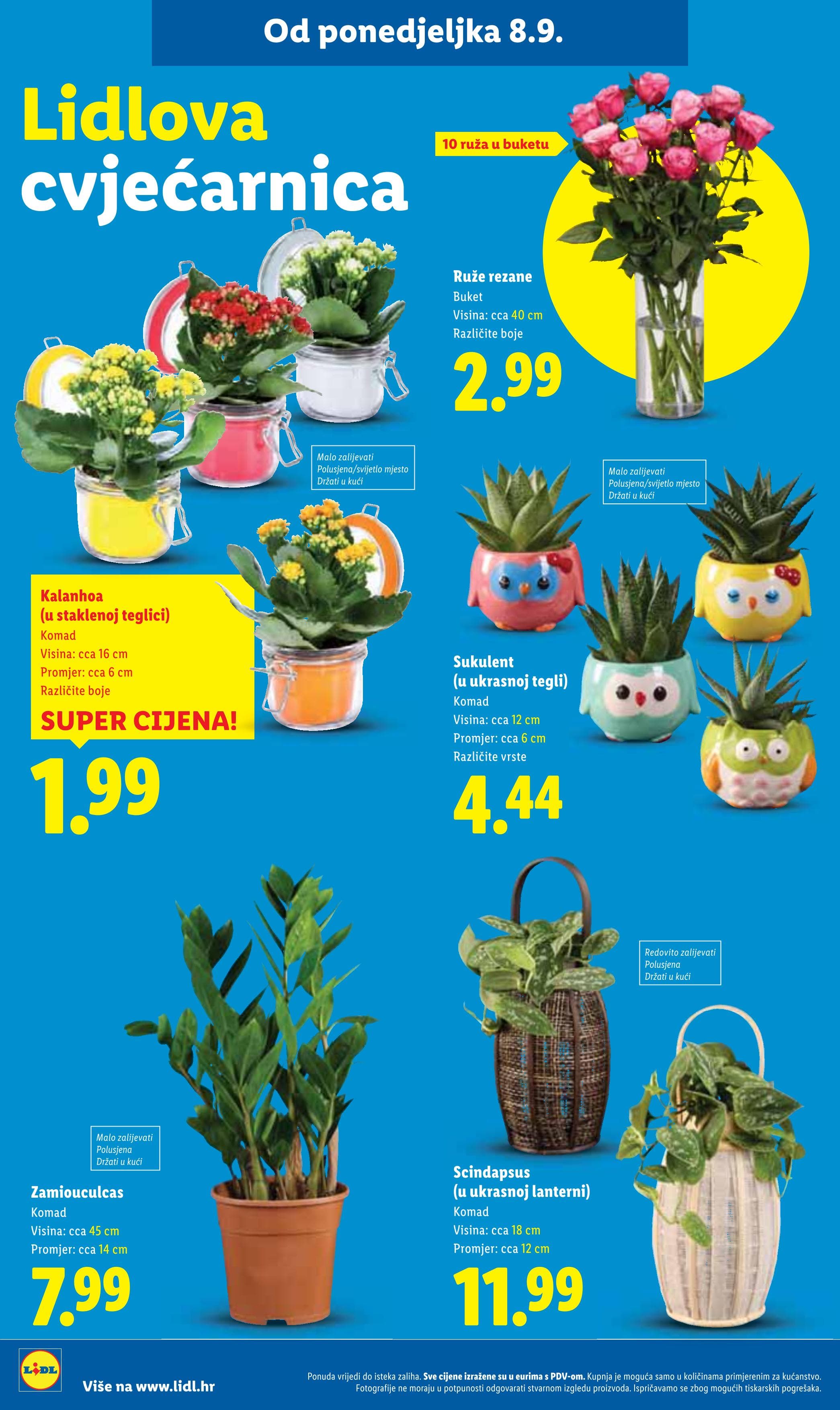 Page from catalog: Super ponuda