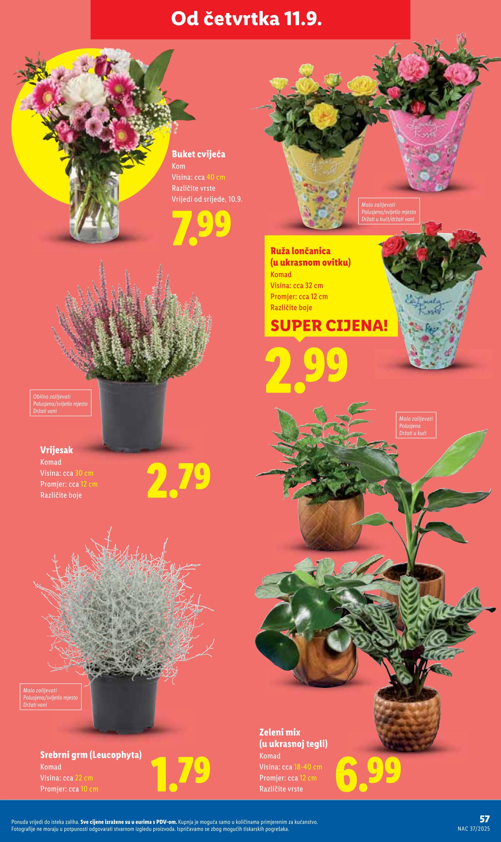 Page from catalog: Super ponuda