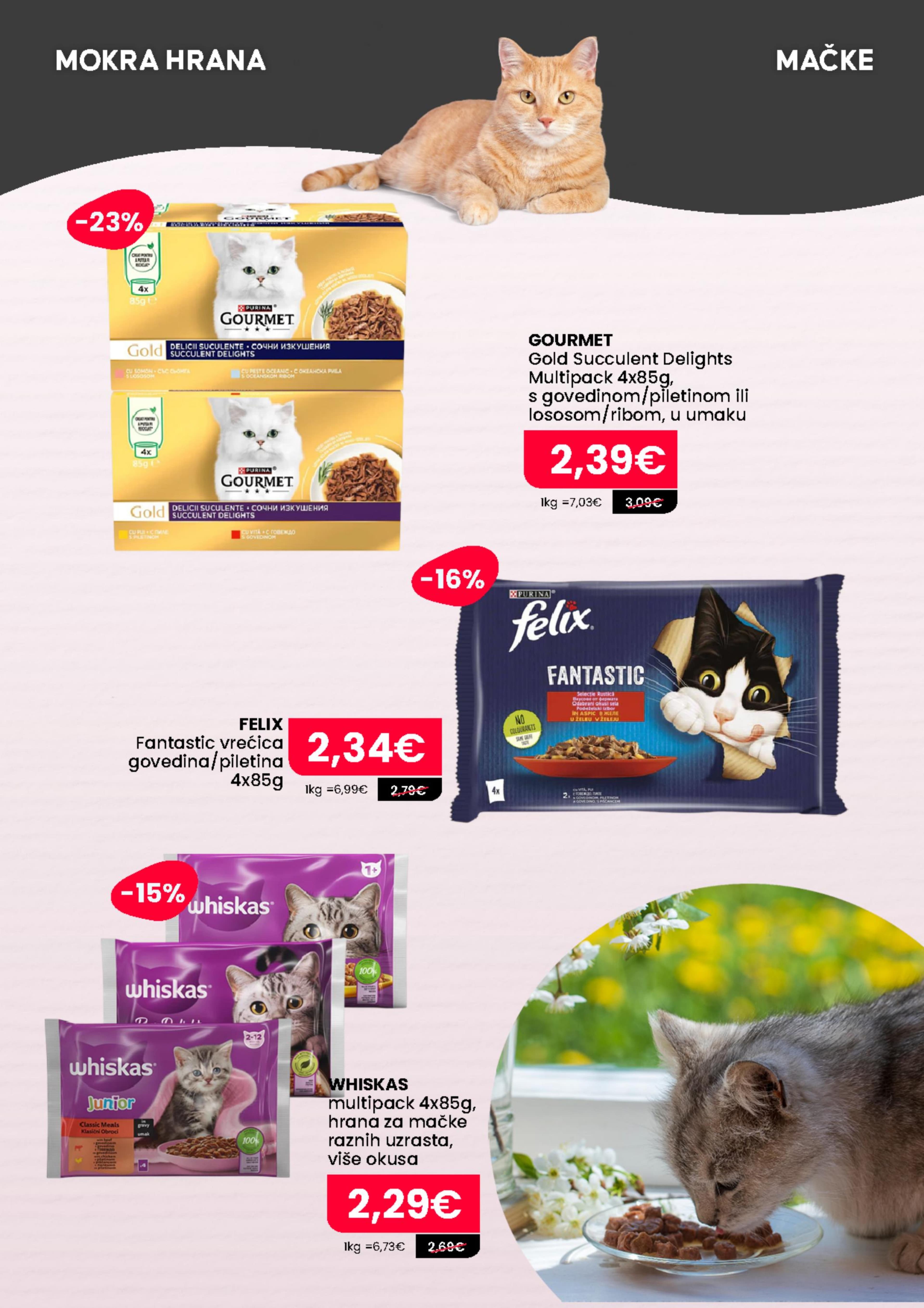Page from catalog: Rujan