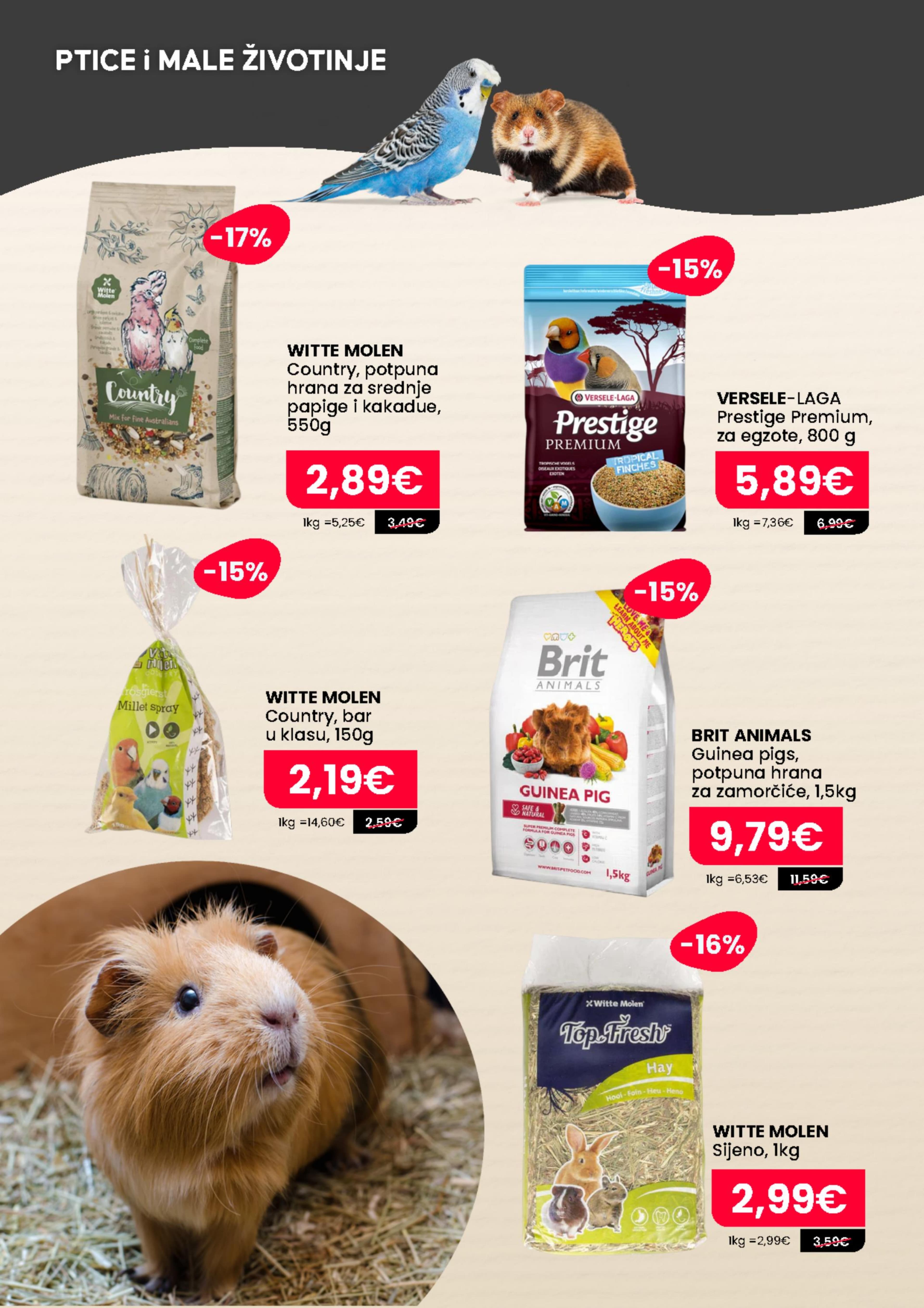 Page from catalog: Rujan