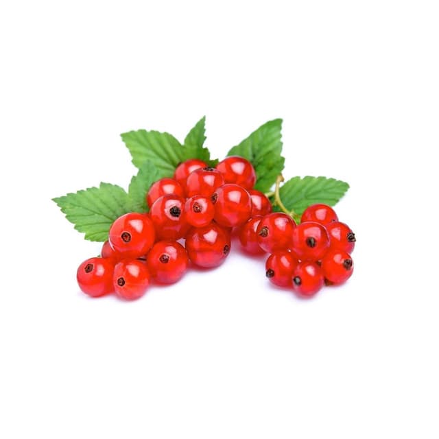 Crveni ribiz 125 g