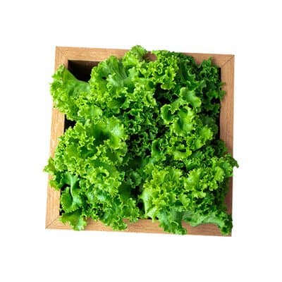 Salata kristal 1 kom