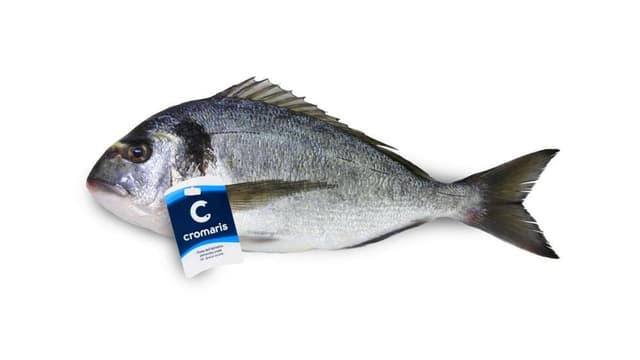 Brancin 1 kg