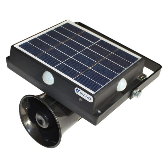 Solarna vrana protiv golubova