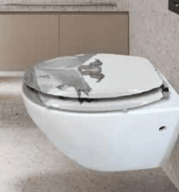 Na izdvojene wc sjedalice
