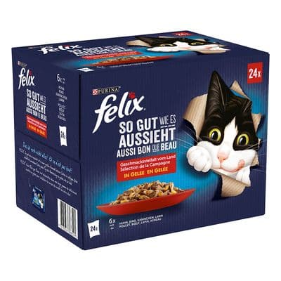 Fantastic 24 x 85 g