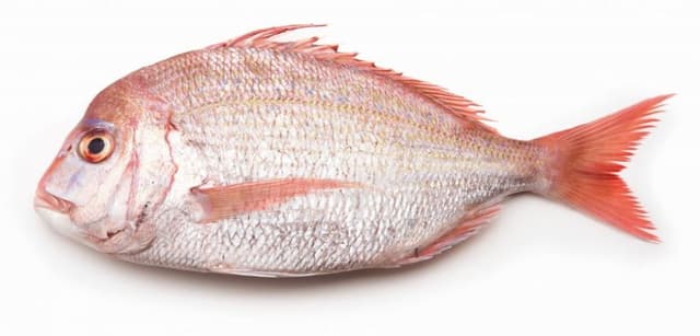 Pagar 600-800g/kom, 1kg