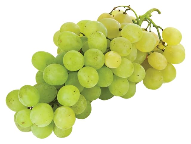 Grožđe