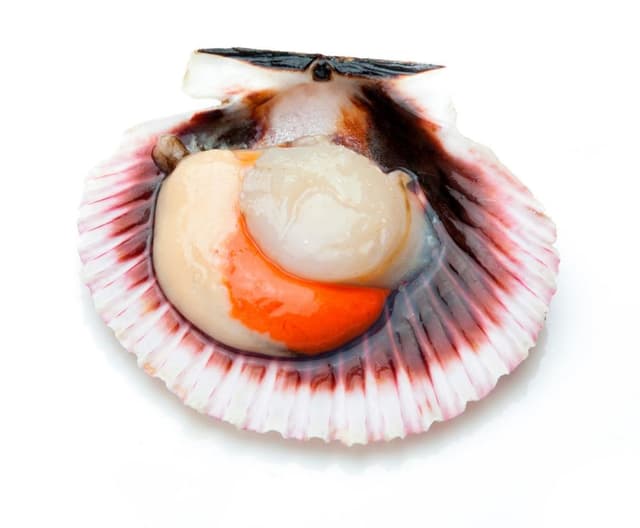 Jakobove kapice polovice 1 kg