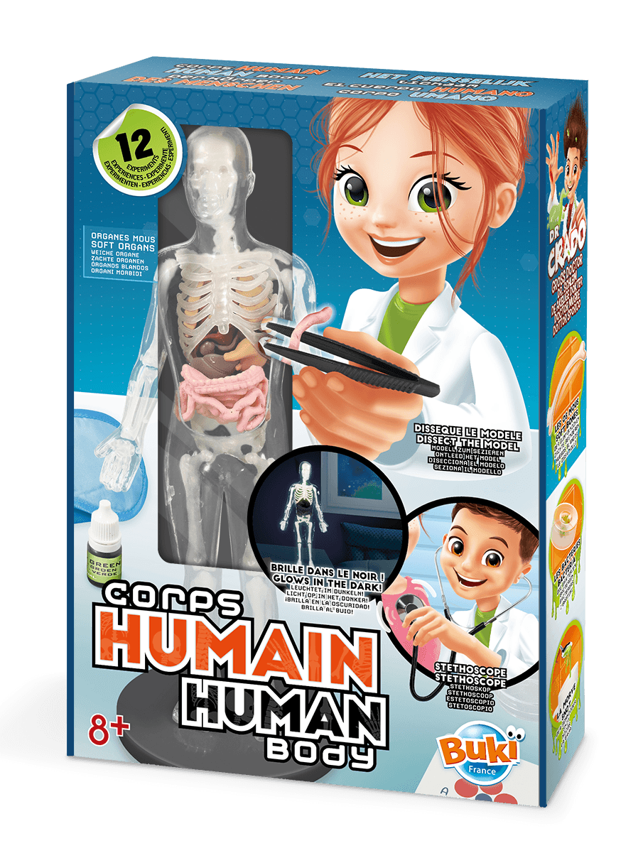Corps humain / human body