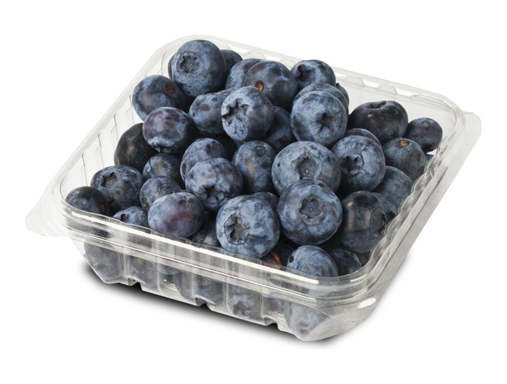 Borovnica pakirana, 125g