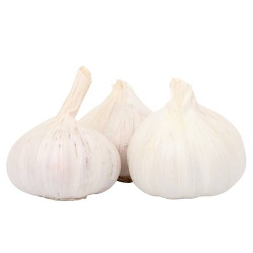 Lučice češnjaka 250 g