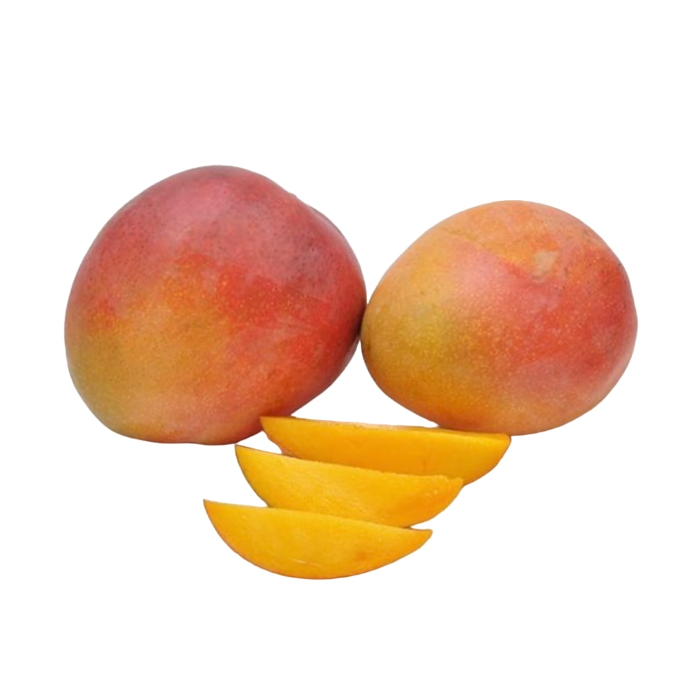 Mango 1 kom
