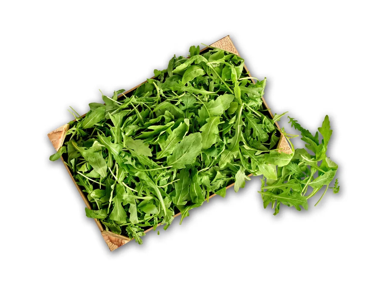 Bio rukola 100 g