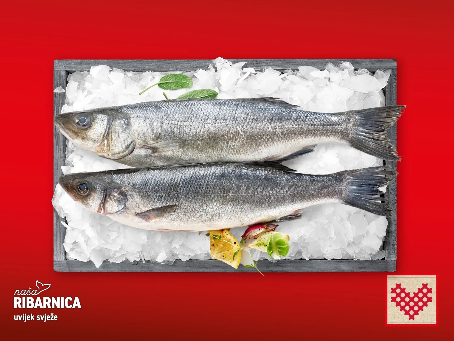 Svježi očišćeni jadranski brancin 720 g