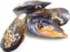 Bio dagnje 1 kg
