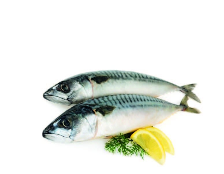 Lokarda cijela 1 kg