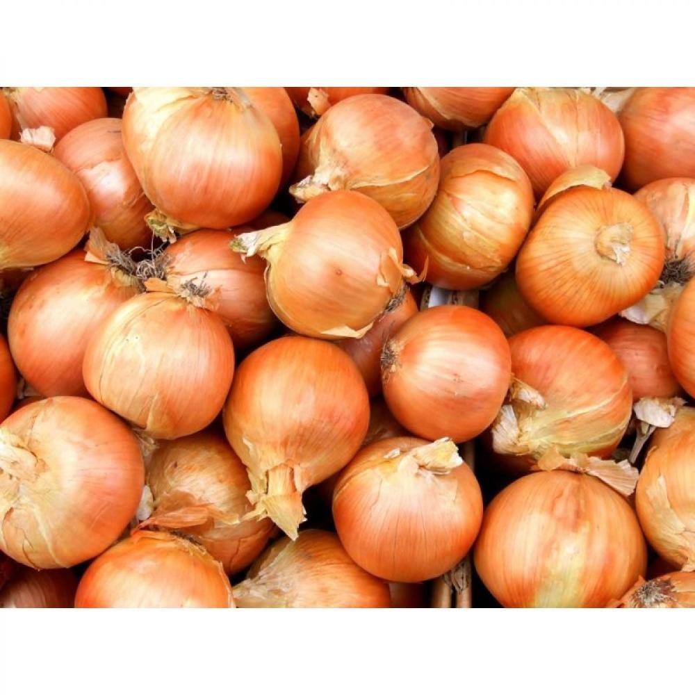 Lučice luka 1 kg