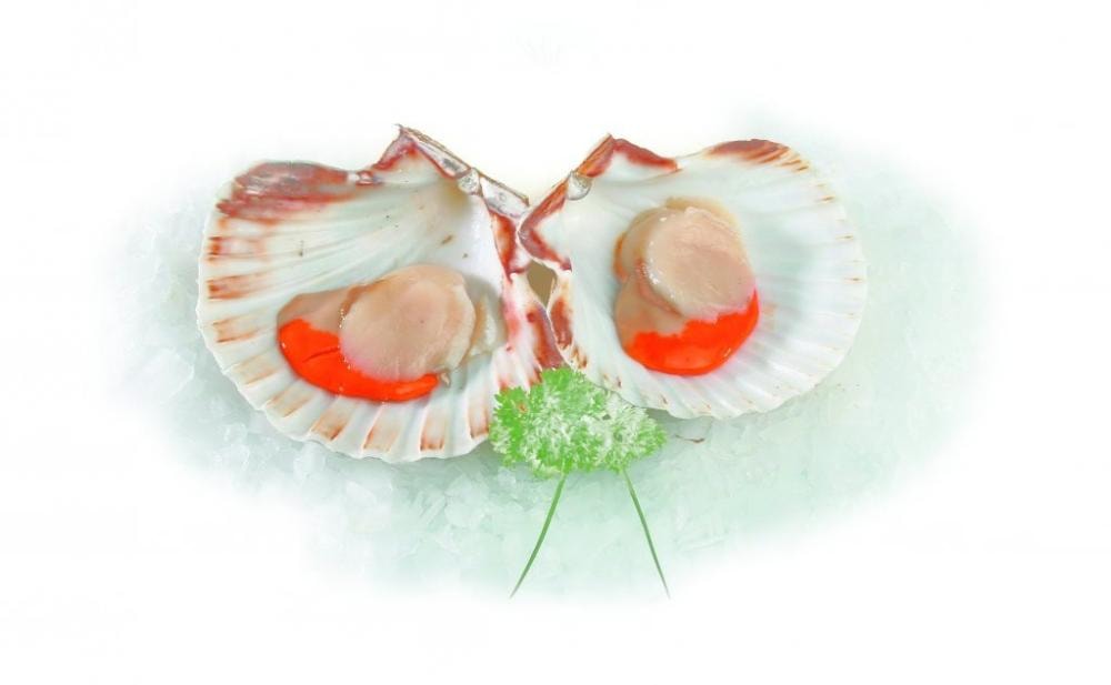 Jakobove kapice 1 kg
