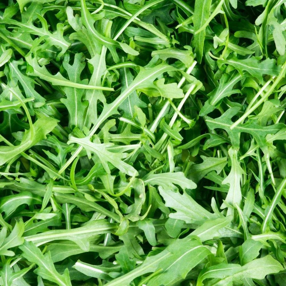 Divlja rikola 'grazia'