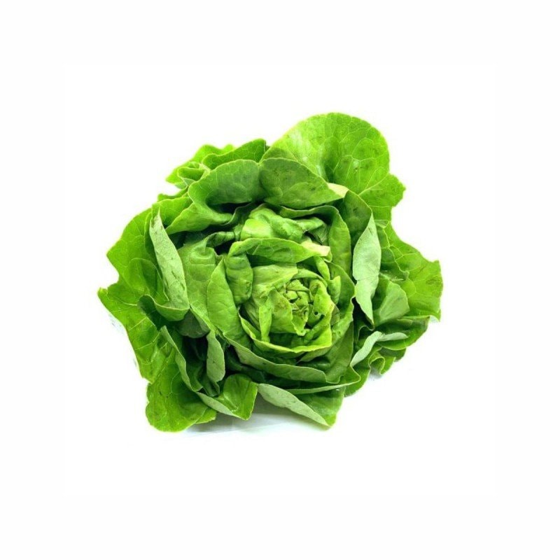 Salata puterica 1 kom