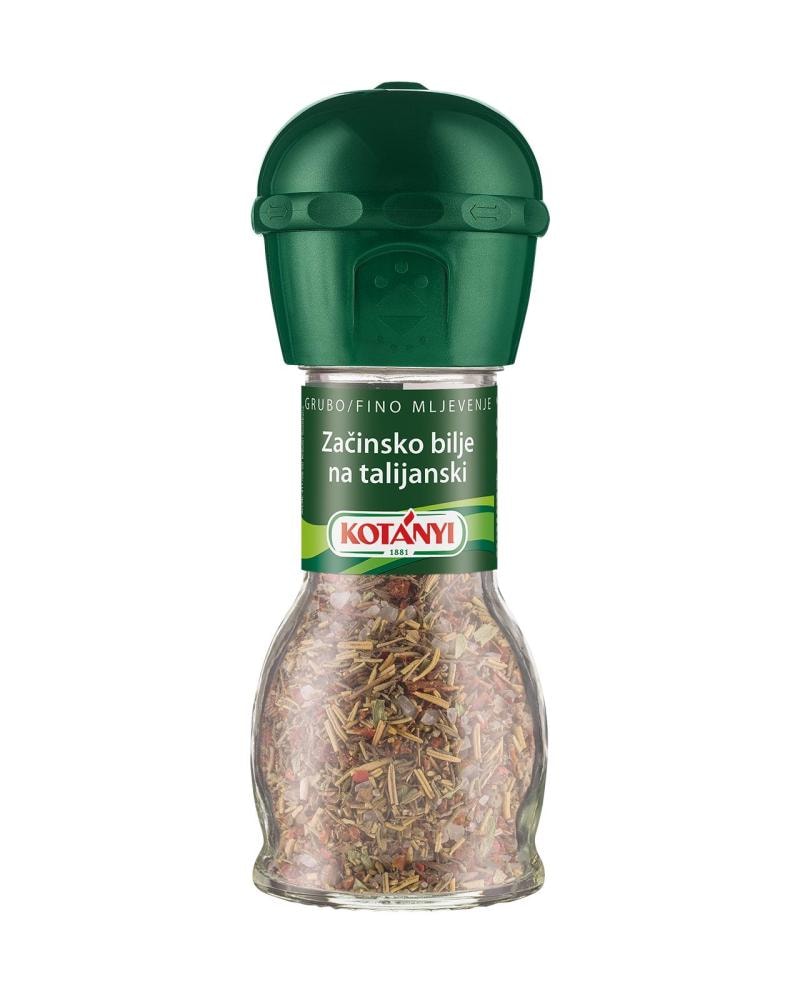 Začini