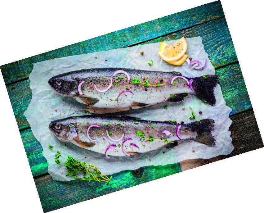 Svježa pastrva 1kg