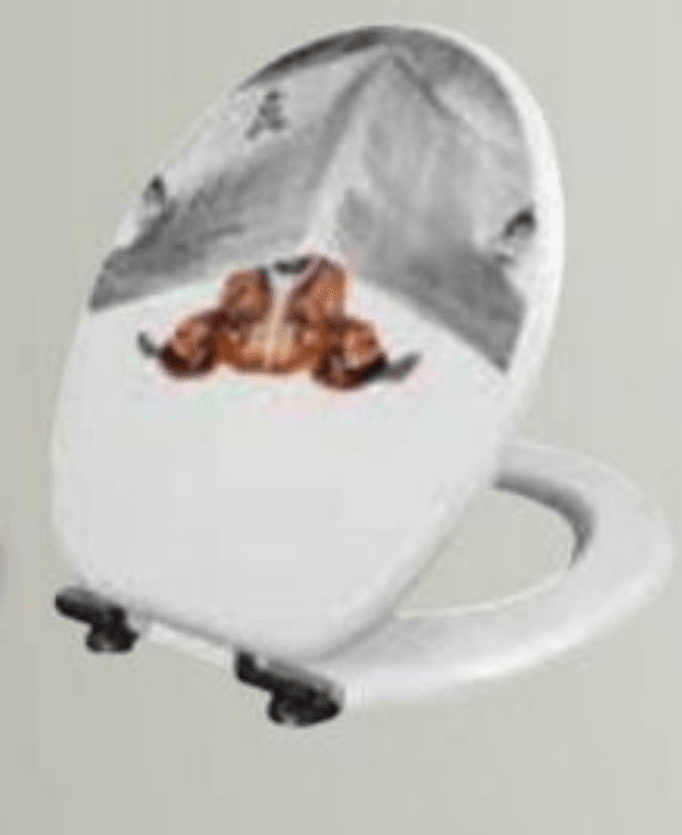 Wc sjedalica