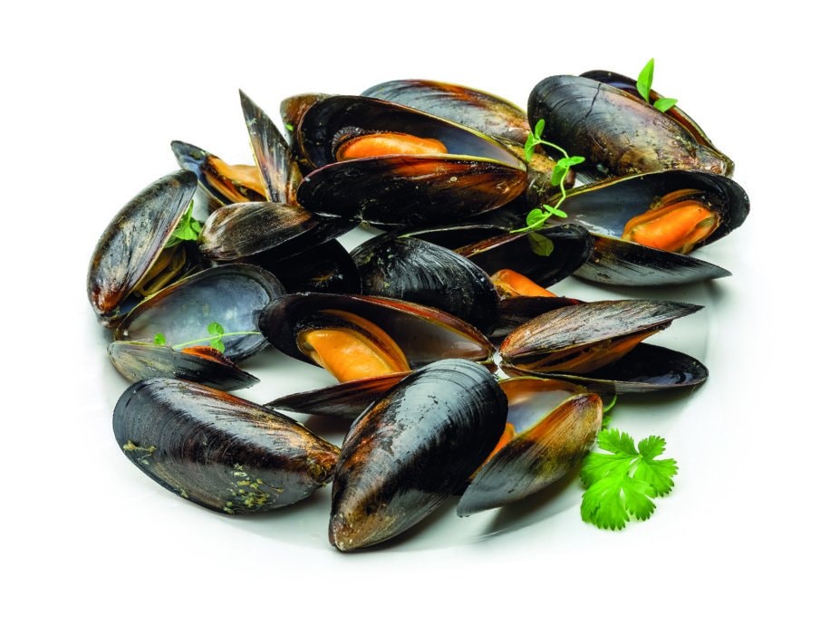 Dagnja 1 kg