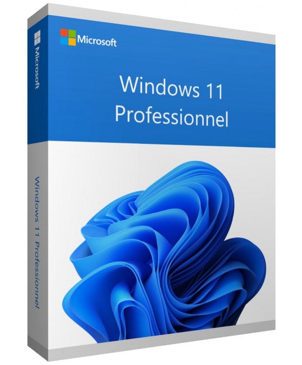 Windows 11 pro