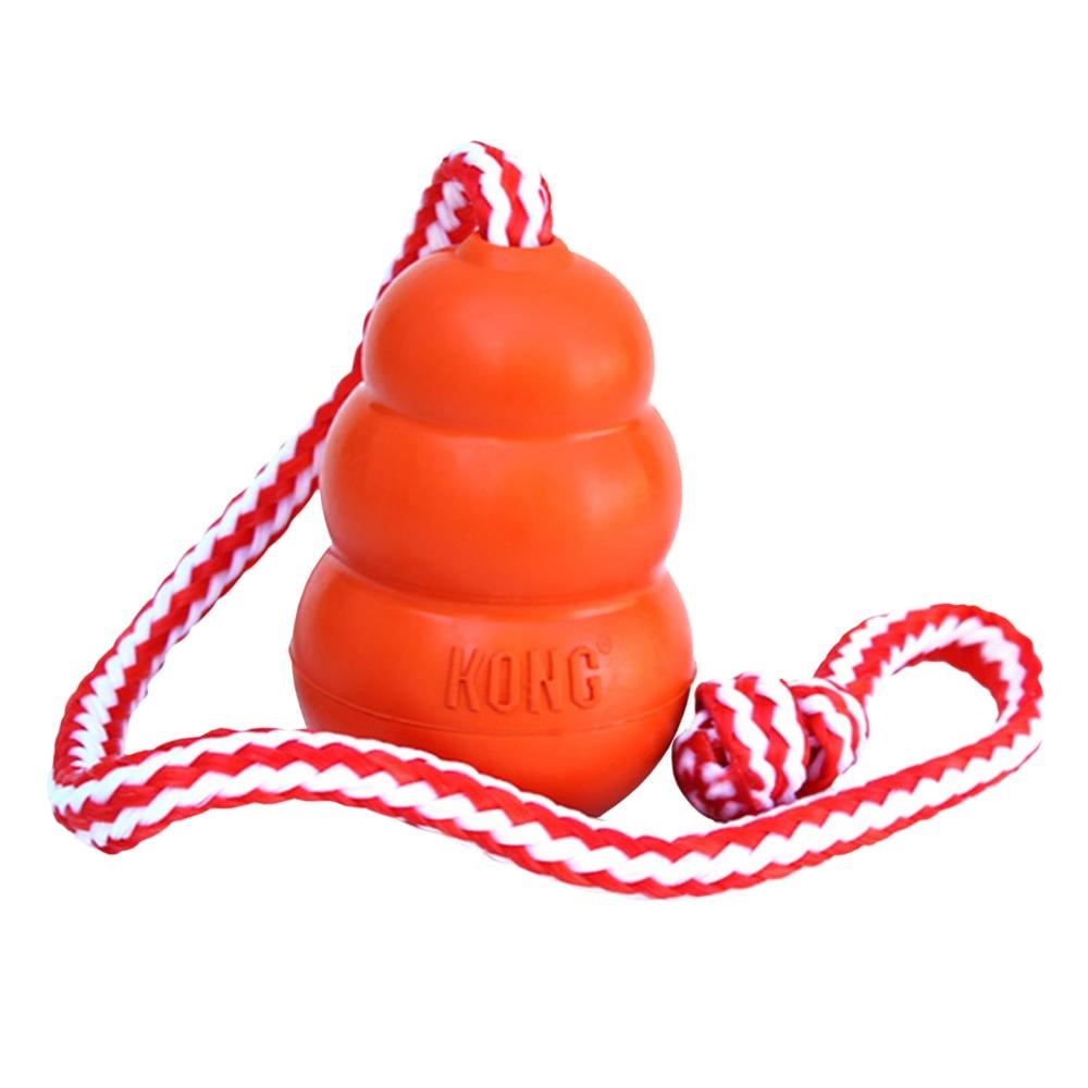 Kong aqua M