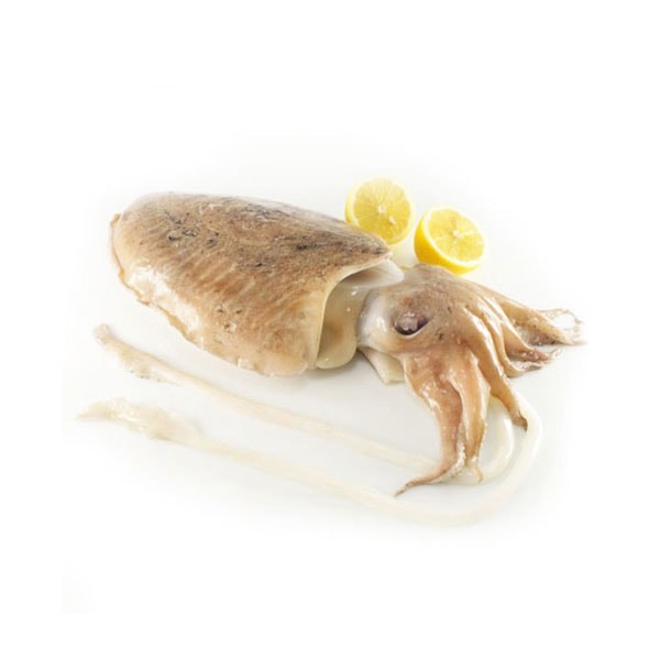 Sipa cijela cca 1 kg
