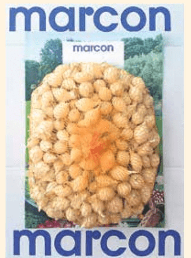 Lučica srebrenac 1kg