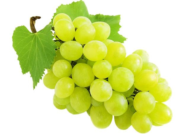 Grožđe