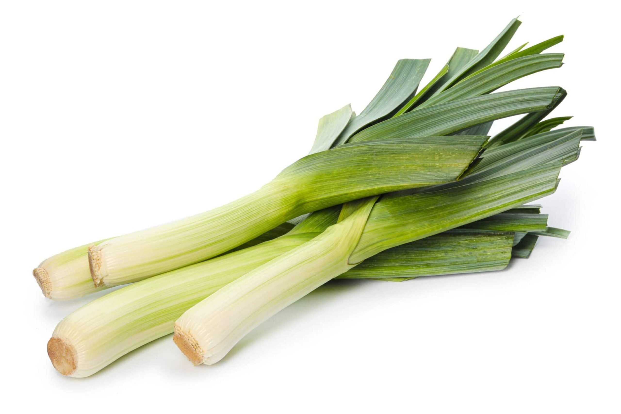 Poriluk