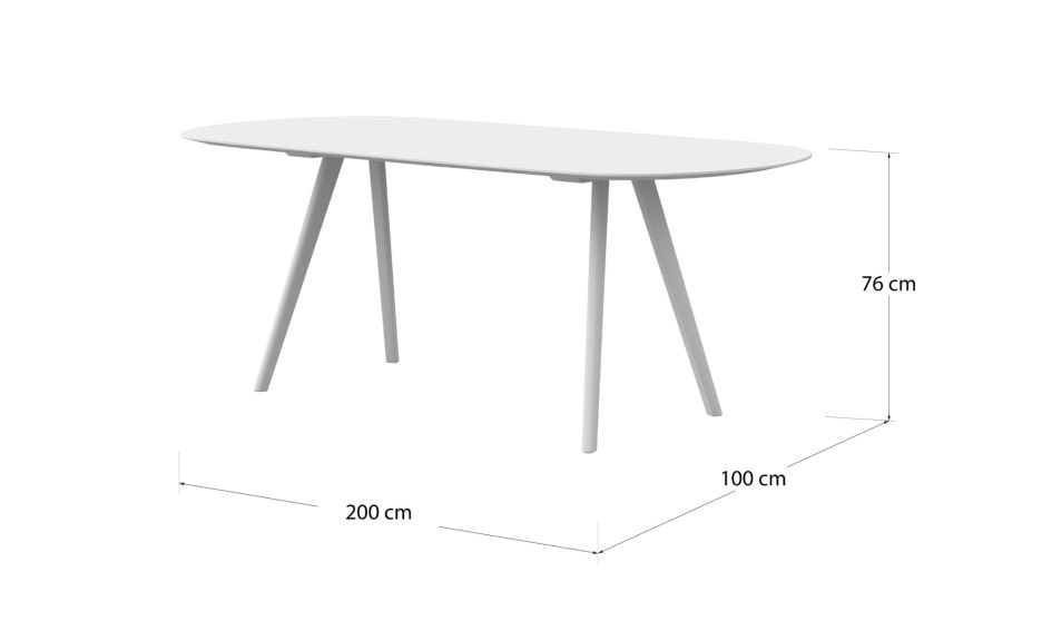 Fiksni stol za 10 osoba, 240 x 100 cm