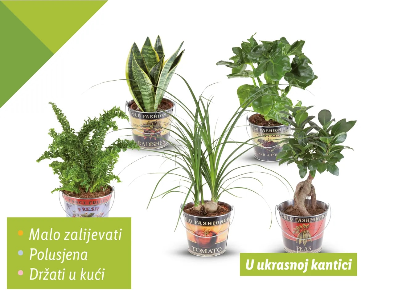Zeleni mix