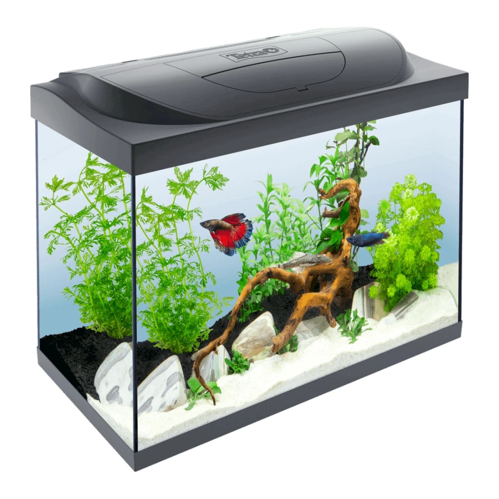 Tetra starter line led akvarij 80 l