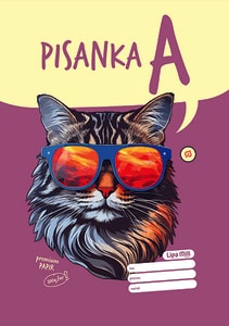Premium matematika 3 i 4 ili pisanka d 48 listova B5 formata