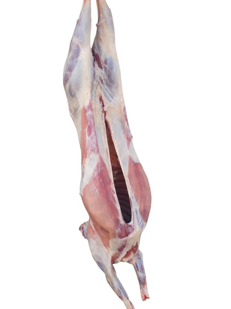 Mlada janjetina trup cca 12-14 kg