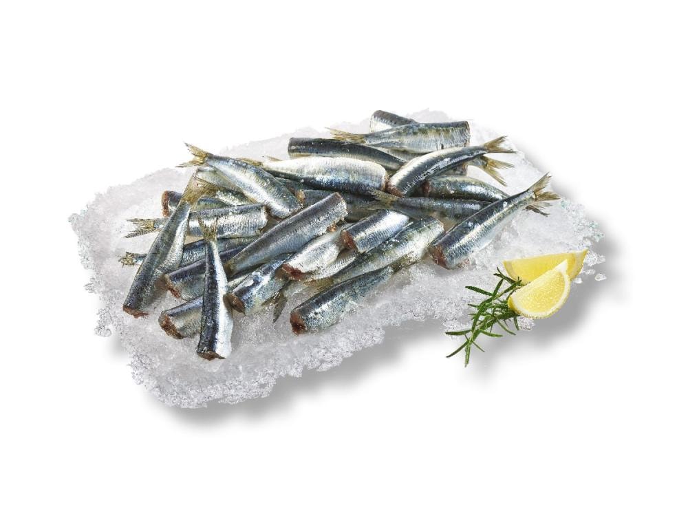 Svježa jadranska srdela 1 kg