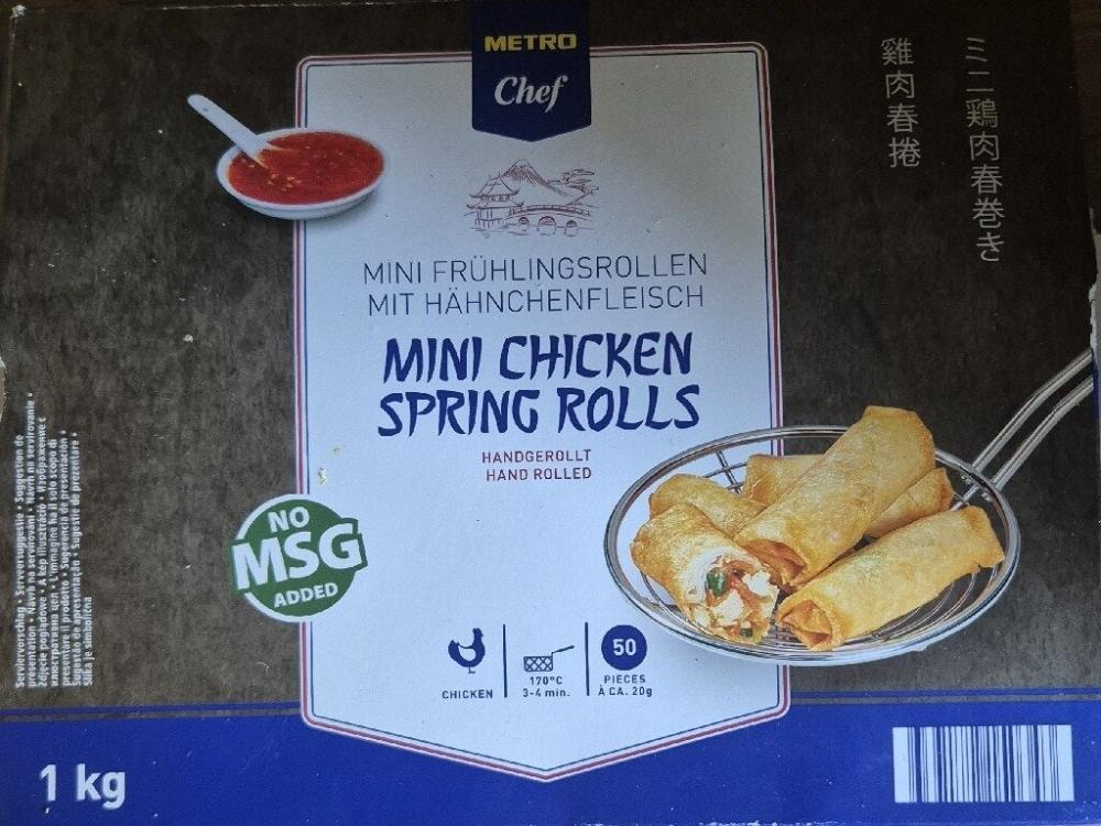 Spring rol povrće 1 kg