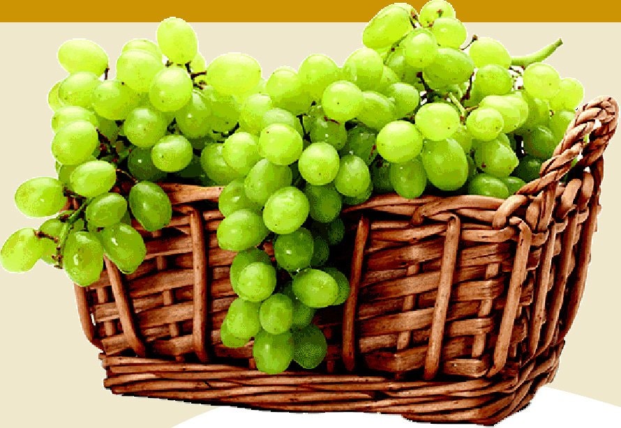 Grožđe bijelo 1 kg