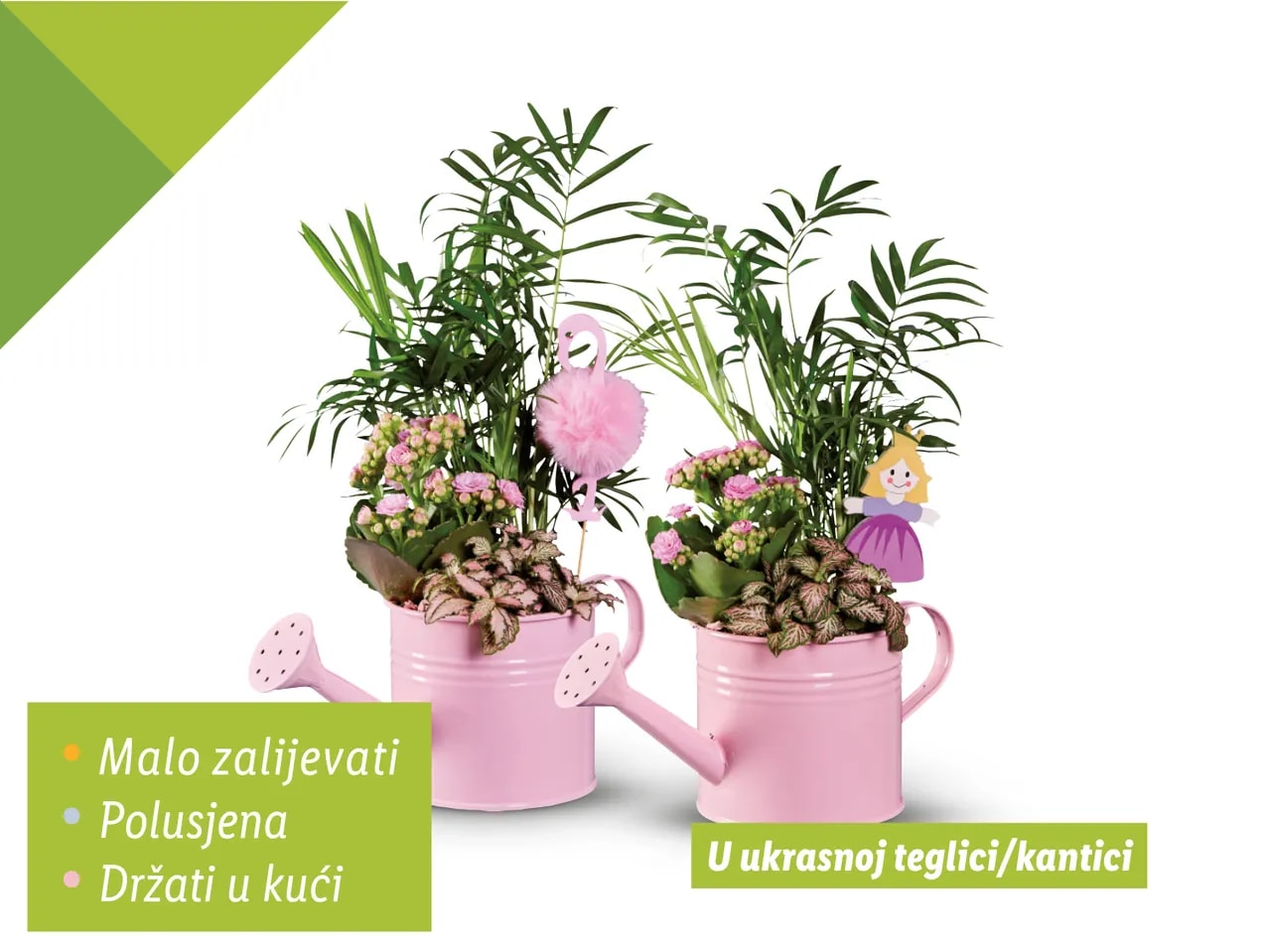 Cvjetni aranžman